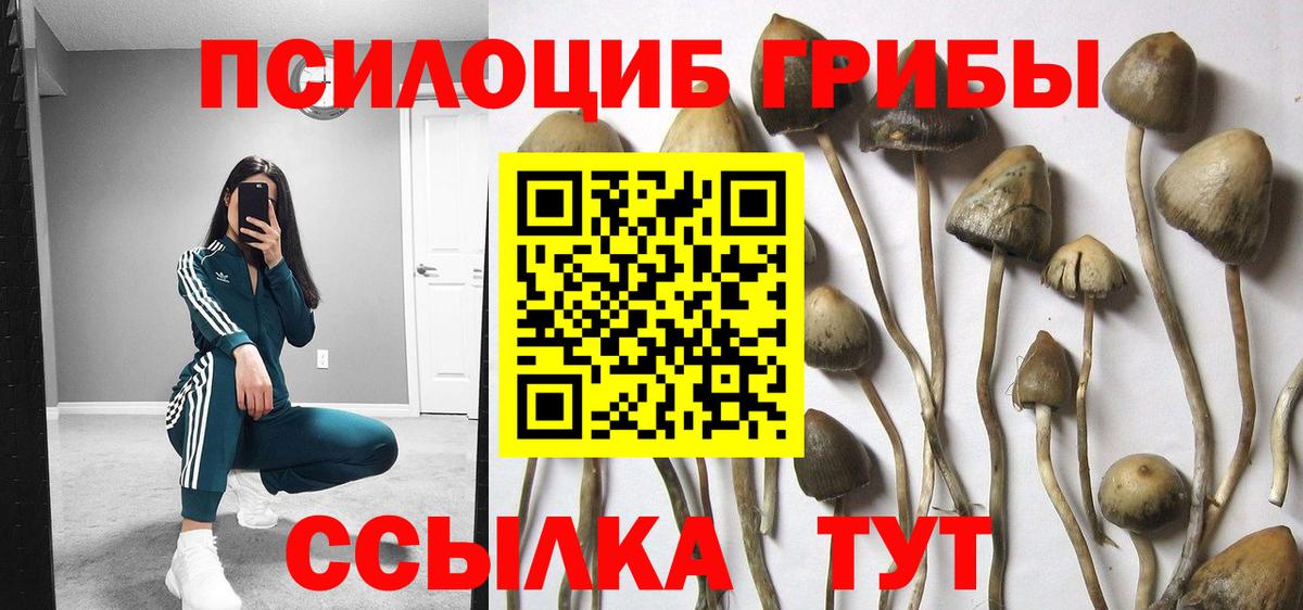 Прохладный  Галлюциногенные грибы мицелий  Вход с VPN 